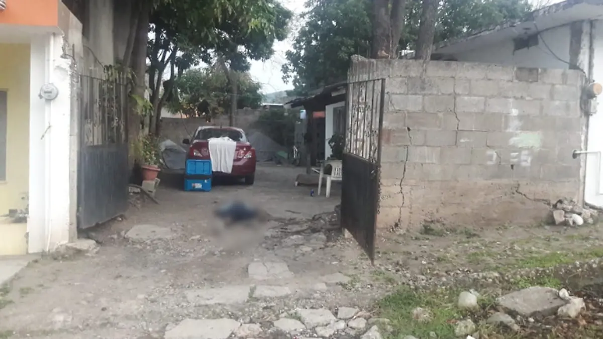 Captura de pantalla 2018-12-29 a la(s) 08.56.32