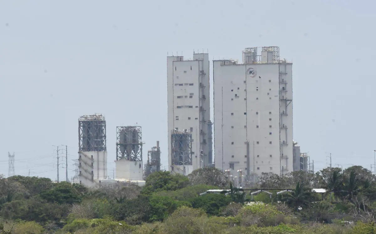 Empresa de Altamira apuesta por economía circular | José Luis Tapia 