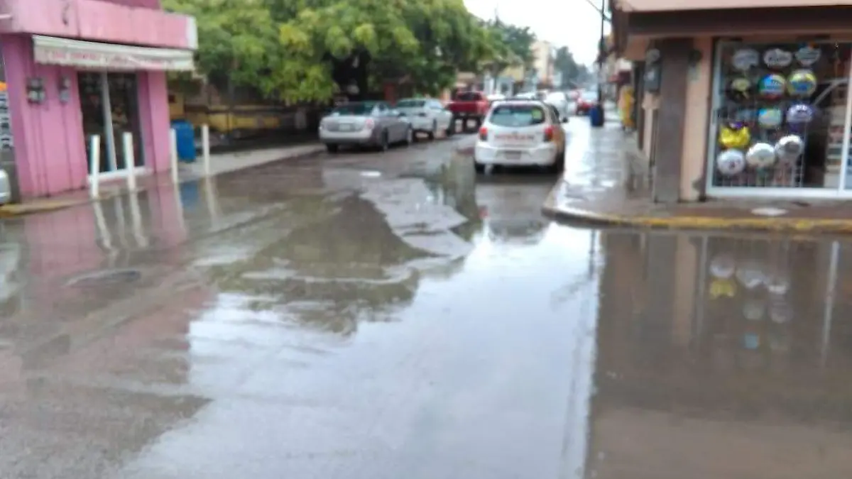 WhatsApp Image 2019-06-26 at 11.37.53