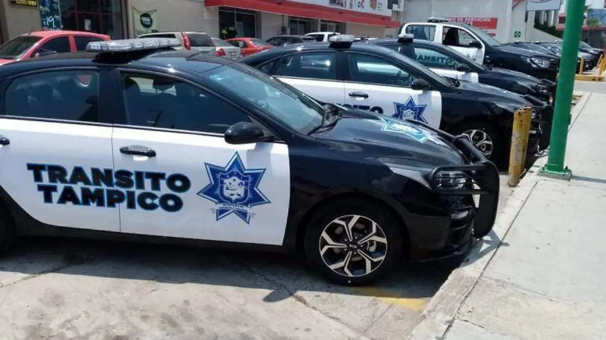 WhatsApp Image 2019-07-12 at 16.35.00 (1)