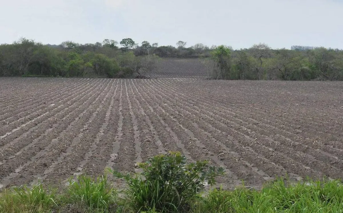 0c7b8d6d-8027-4e16-b72a-33ca1f27c729