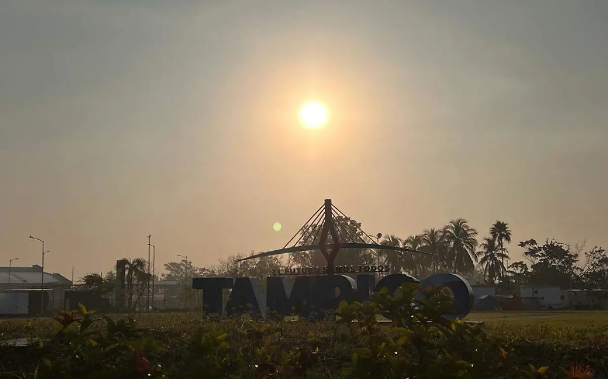 WhatsApp Image 2022-12-20 at 9.02.35 AM