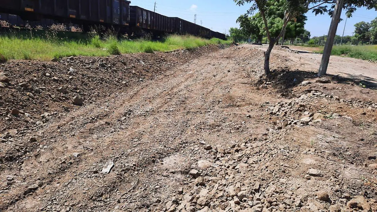 Image 2020-07-25 at 13.08.56 (1)