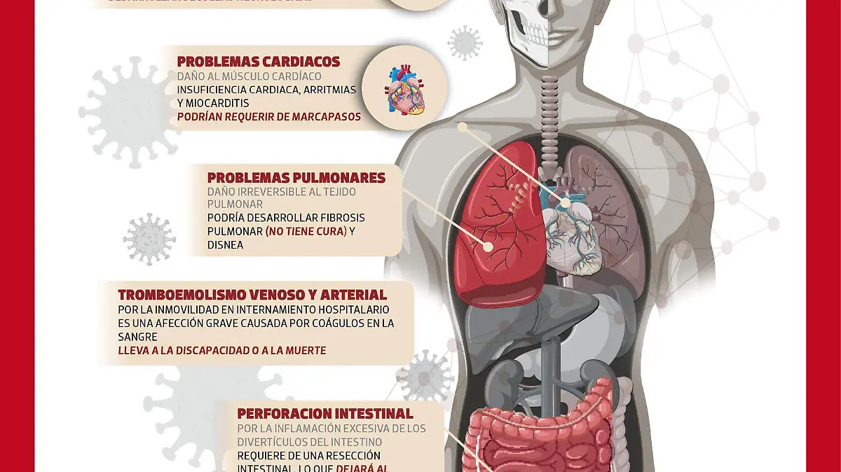 El Covid-19 es una enfermedad con un período de desarrollo que va de los 14 a los 21 días, sin embargo puede llegar a causar efectos a largo plazo en la salud que pueden ser irreparables
