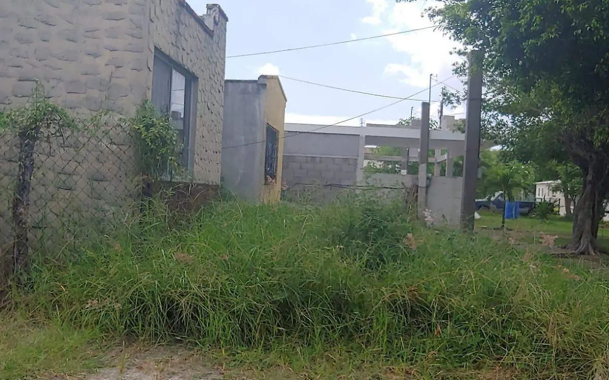 Detecta Infonavit 10 mil casas abandonadas en Tamaulipas | Teresa Macías 