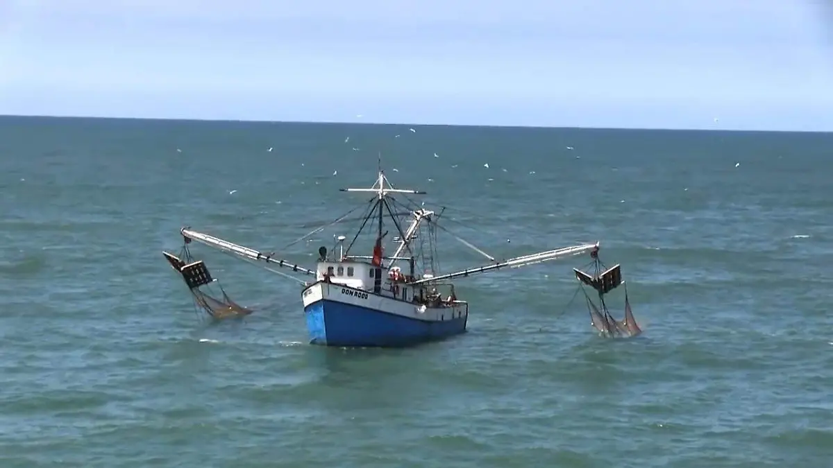 4-2 mhg pesca