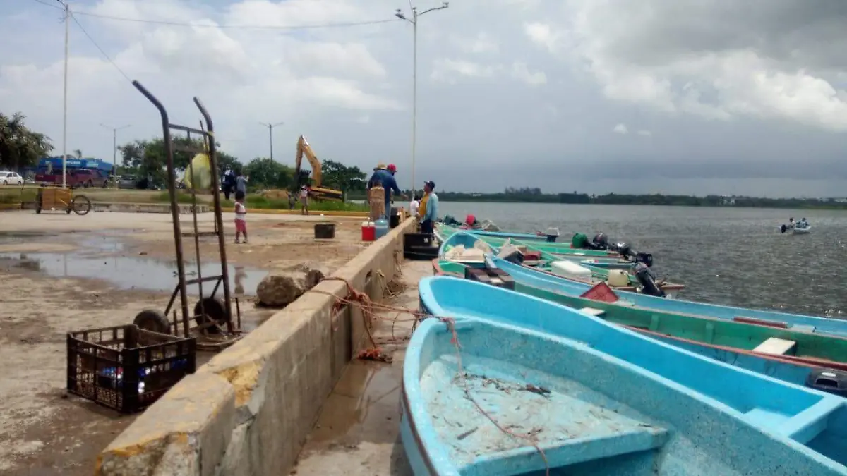 WhatsApp Image 2020-07-30 at 13.19.35