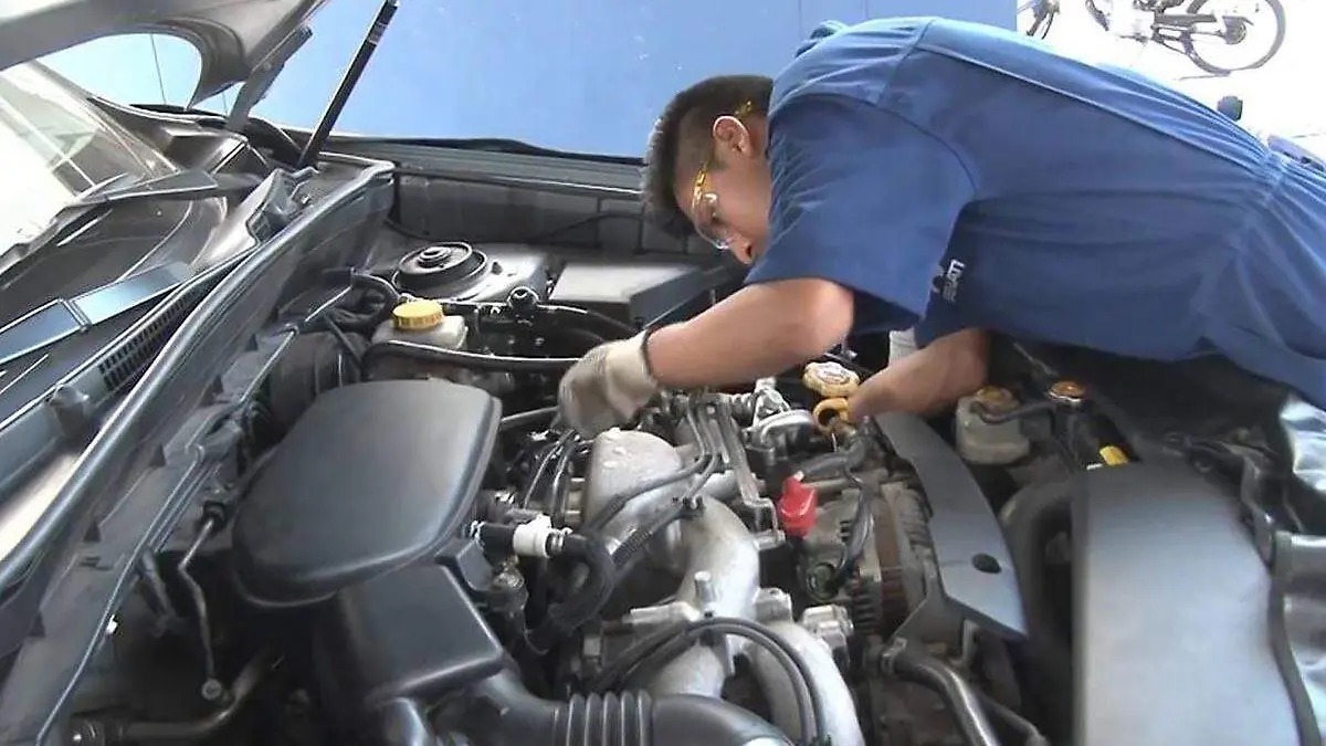 WhatsApp Image 2018-05-06 at 14.49.18