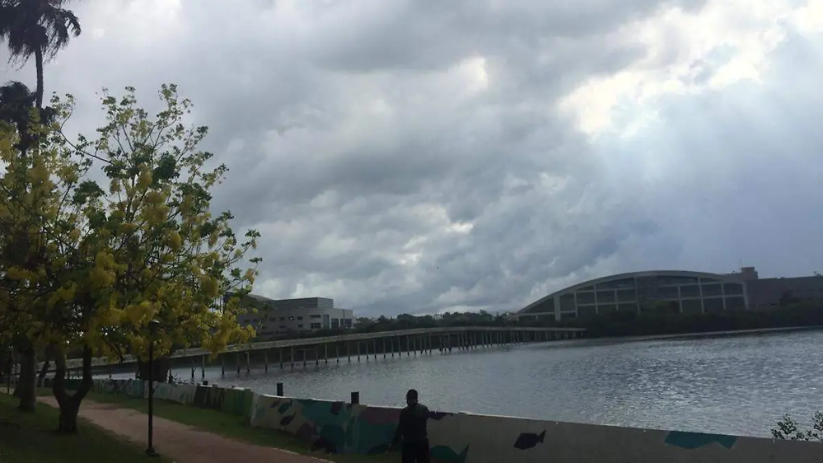 WhatsApp Image 2019-06-13 at 09.57.07