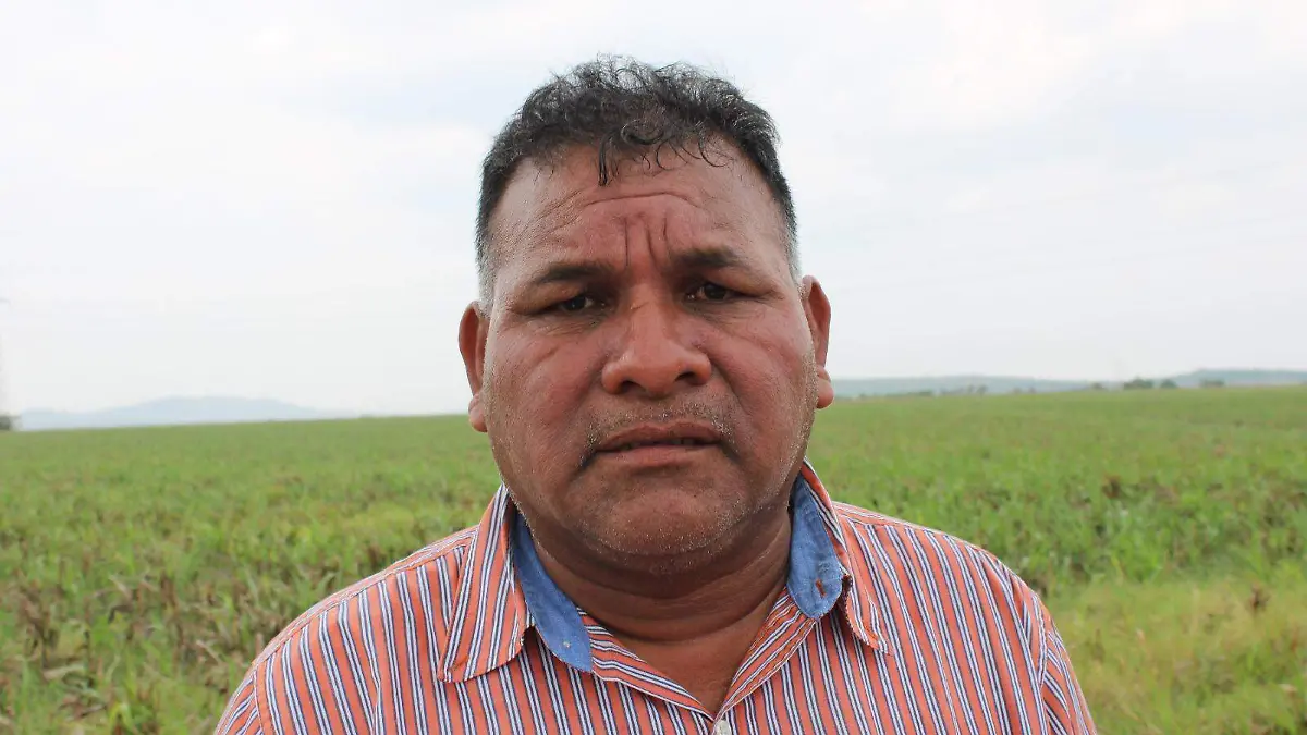 Agricultores 40% dejan sus tierras y se autoemplean