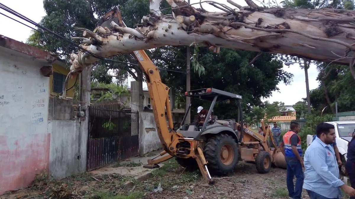 WhatsApp Image 2019-10-25 at 12.56.14