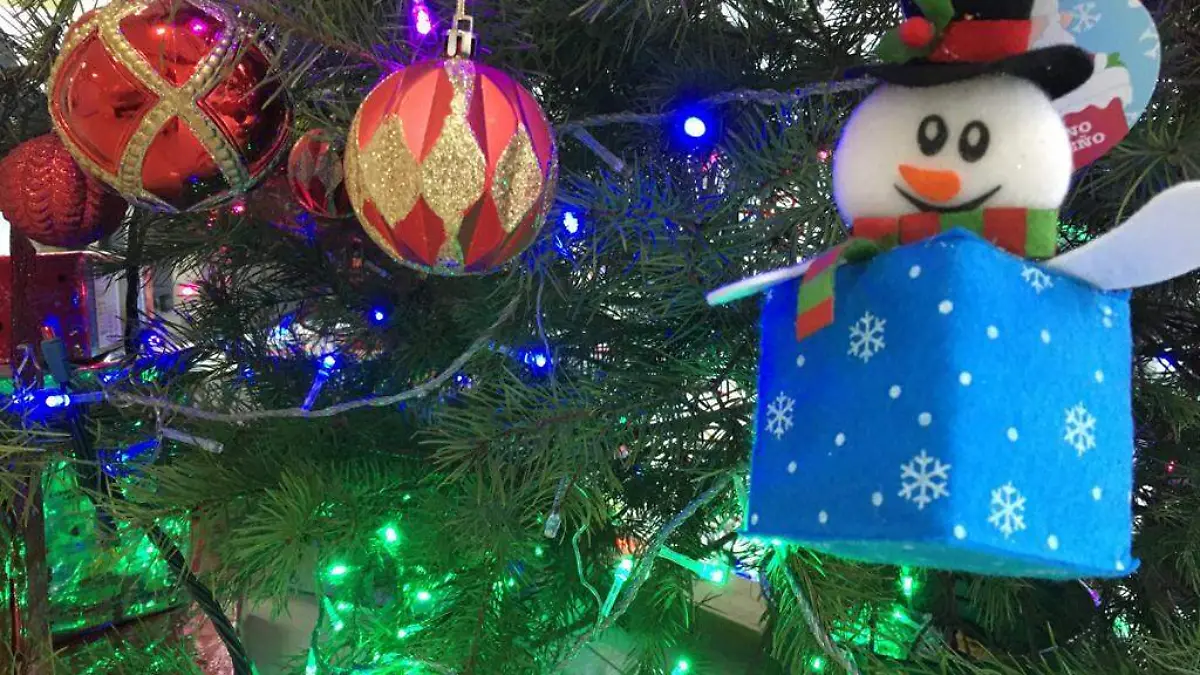 Image 2019-12-11 at 10.21.49
