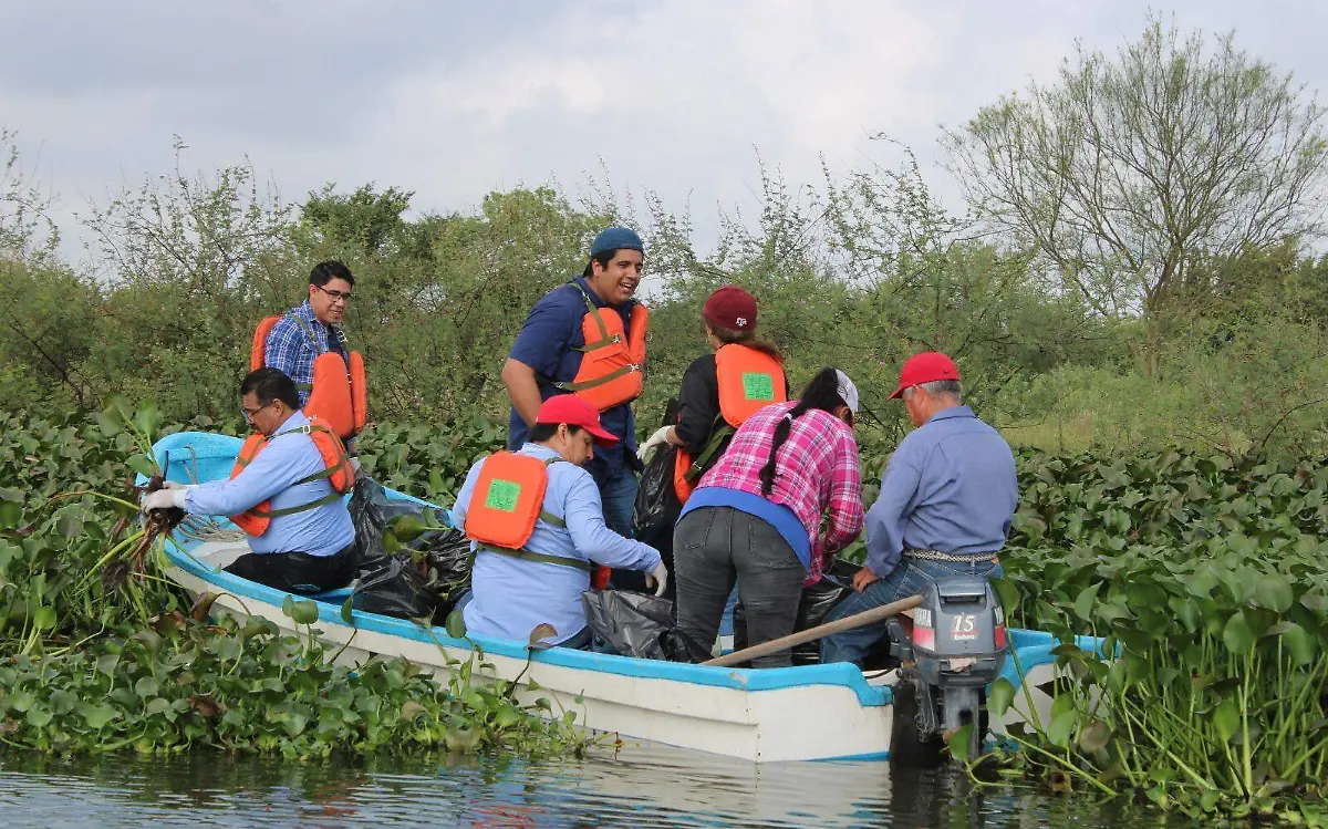 Convocan a jornada de limpieza en laguna de Tampico 