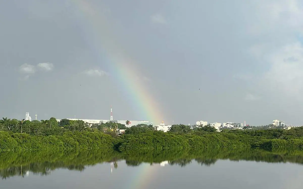 ARCORIRIS