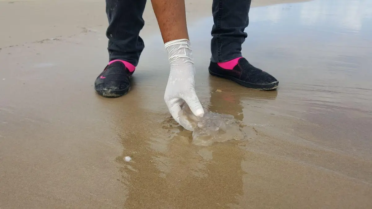 WhatsApp Image 2017-10-23 at 12.53