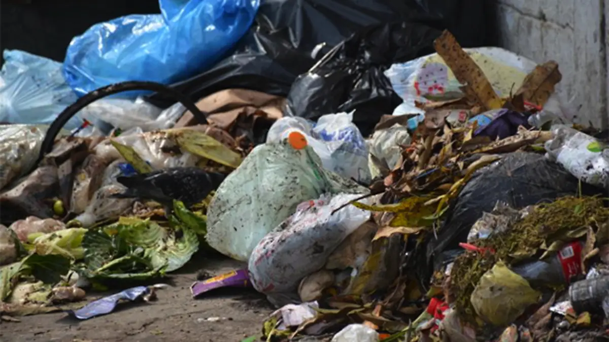 Captura de pantalla 2018-05-01 a la(s) 21.22.22