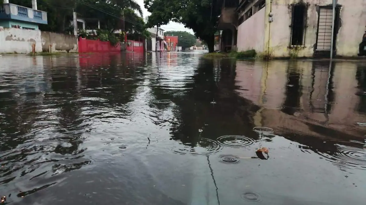 WhatsApp Image 2020-07-27 at 12.41.54