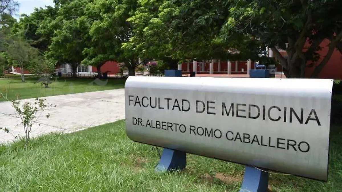 WhatsApp Image 2020-06-19 at 17.11.24 (1)