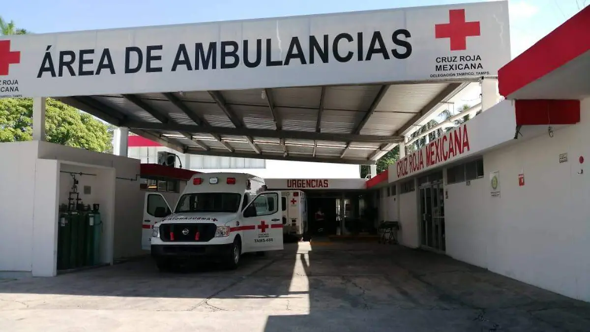 WhatsApp Image 2019-09-16 at 13.25.45 (1)