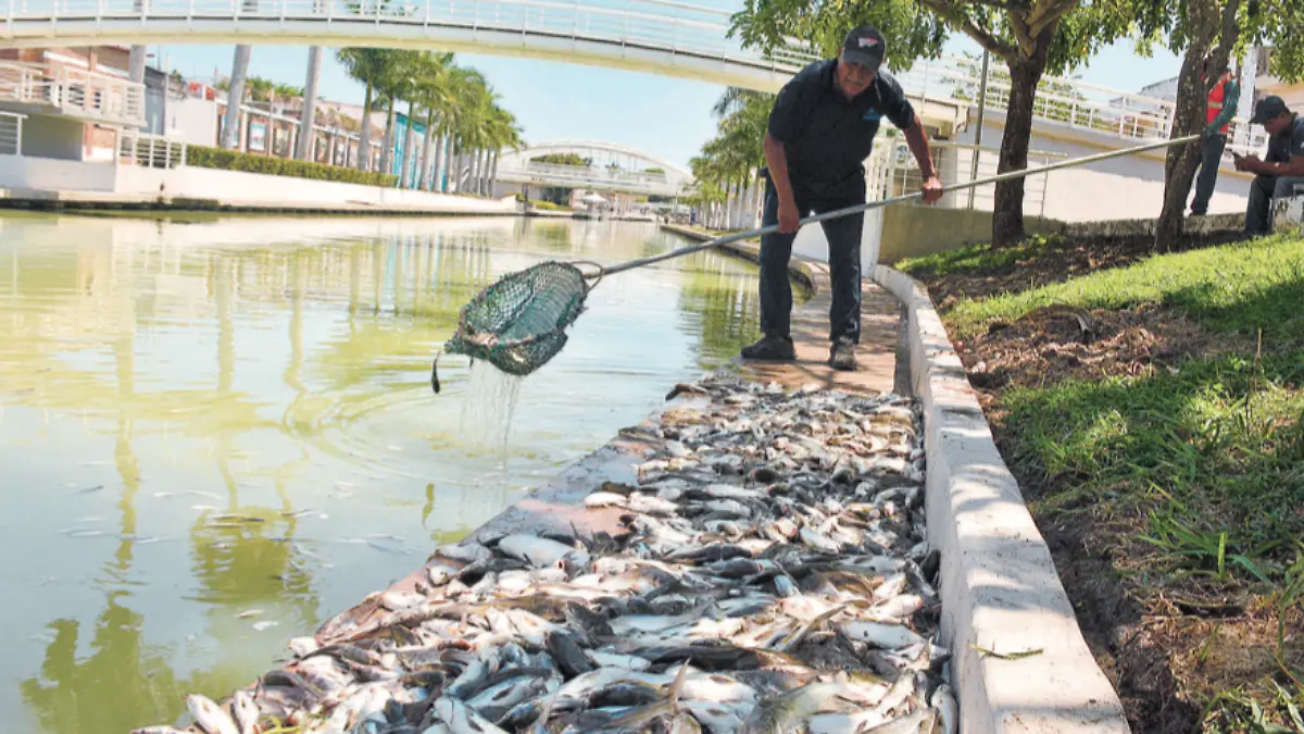 Captura de Pantalla 2019-12-26 a la(s) 21.33.56