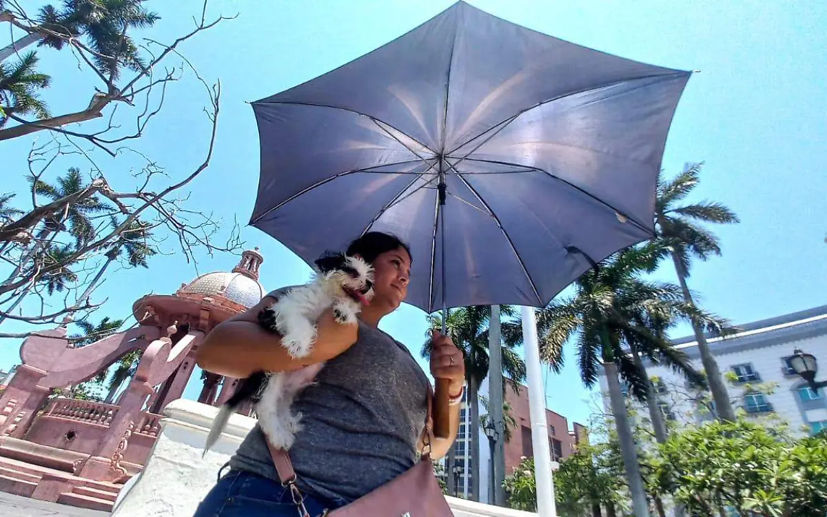 Contiurán altas temperaturas en Tamaulipas 