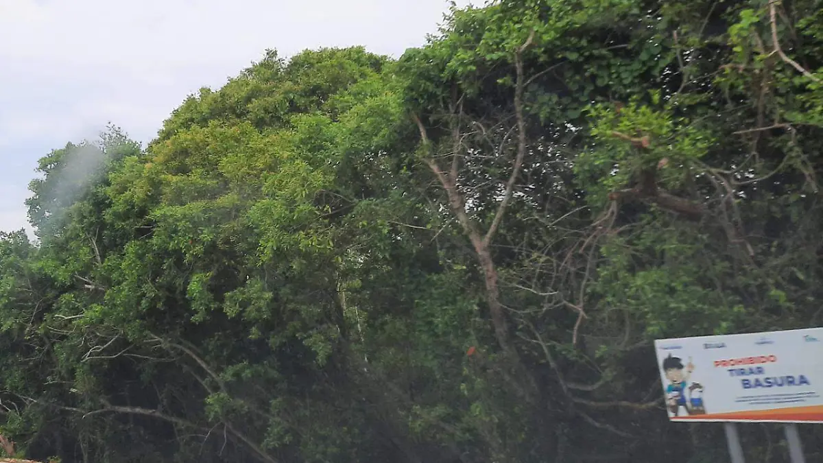 Image 2020-05-28 at 11.23.51