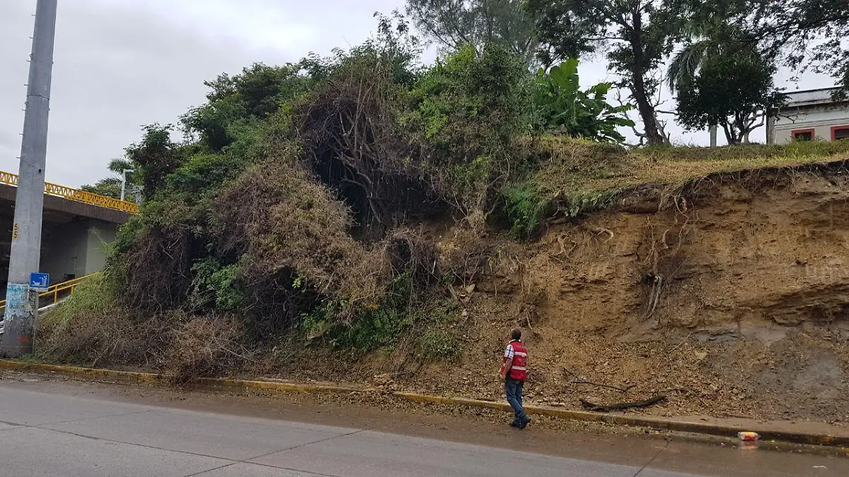 WhatsApp Image 2017-10-11 at 10.15