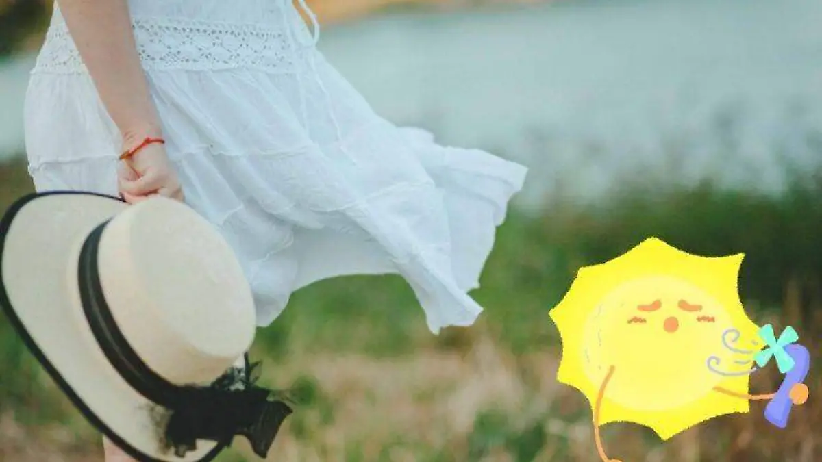 Pronostican surada en Tamaulipas con vientos de 70 km:h | Pexels 