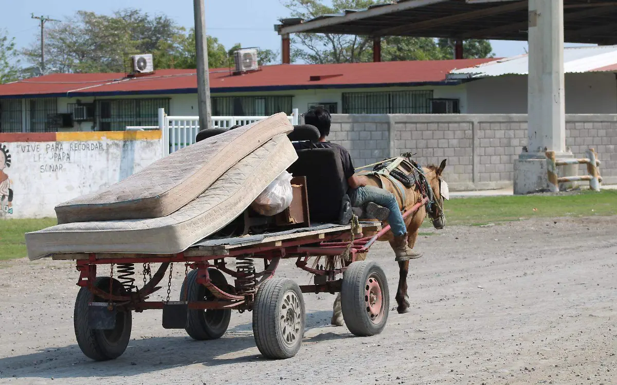 Darán motocicletas con GPS para evitar que carretoneros usen caballos en Ciudad Madero 