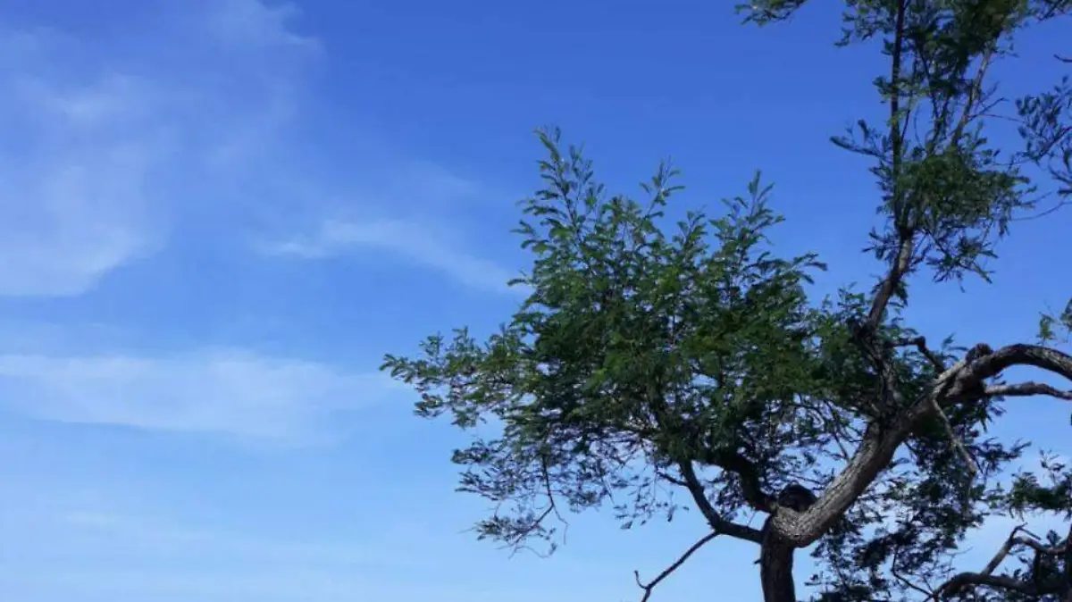 Image 2020-07-15 at 14.16.31