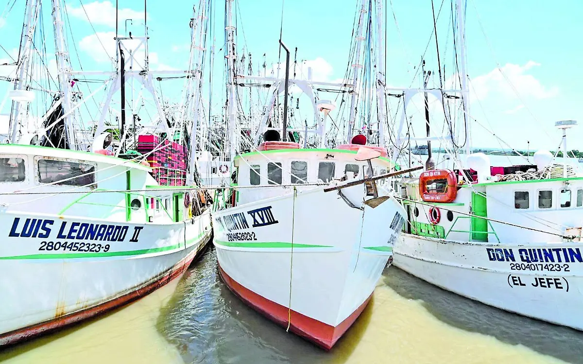 Pescadores se preparan para zarpar tras terminación de veda de camarón 