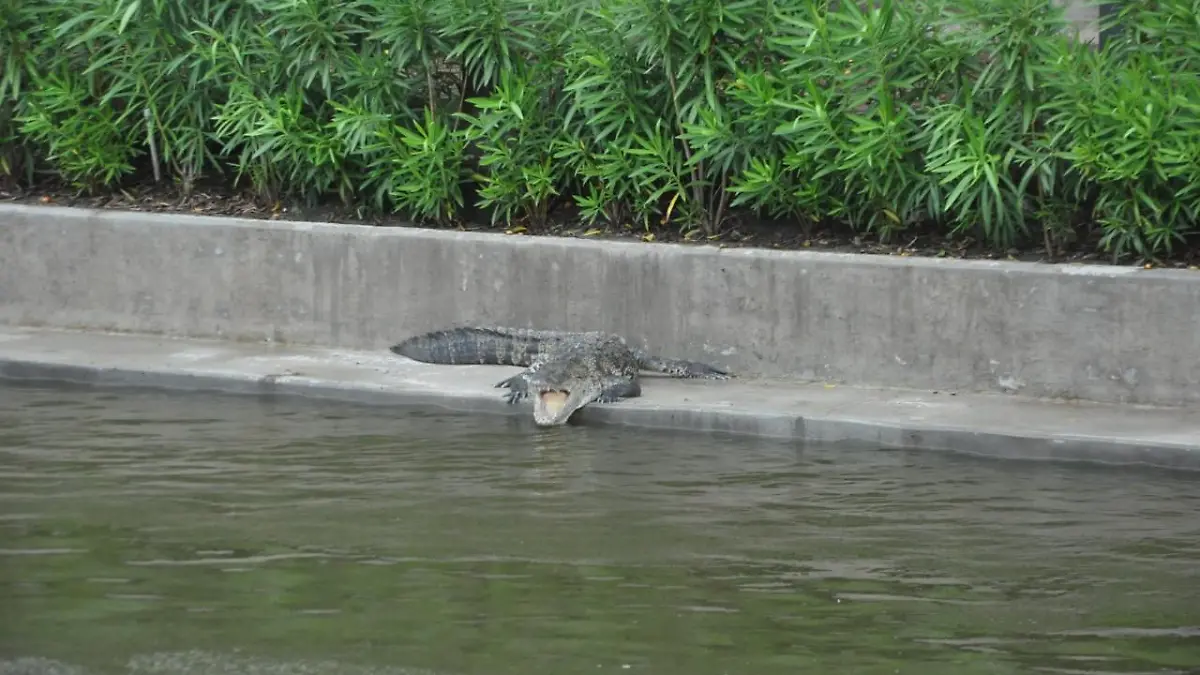 WhatsApp Image 2017-09-30 at 3.36