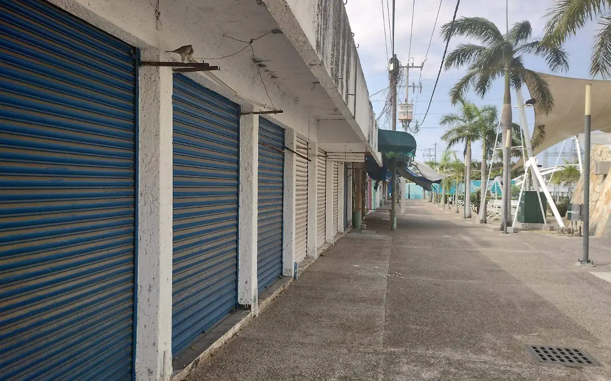 Quieren revivir el Macalito de Tampico Paulo Monsiváis (2)