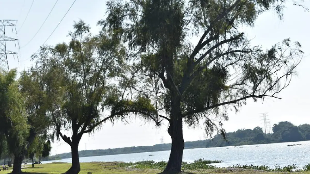 Captura de Pantalla 2019-12-13 a la(s) 21.15.19