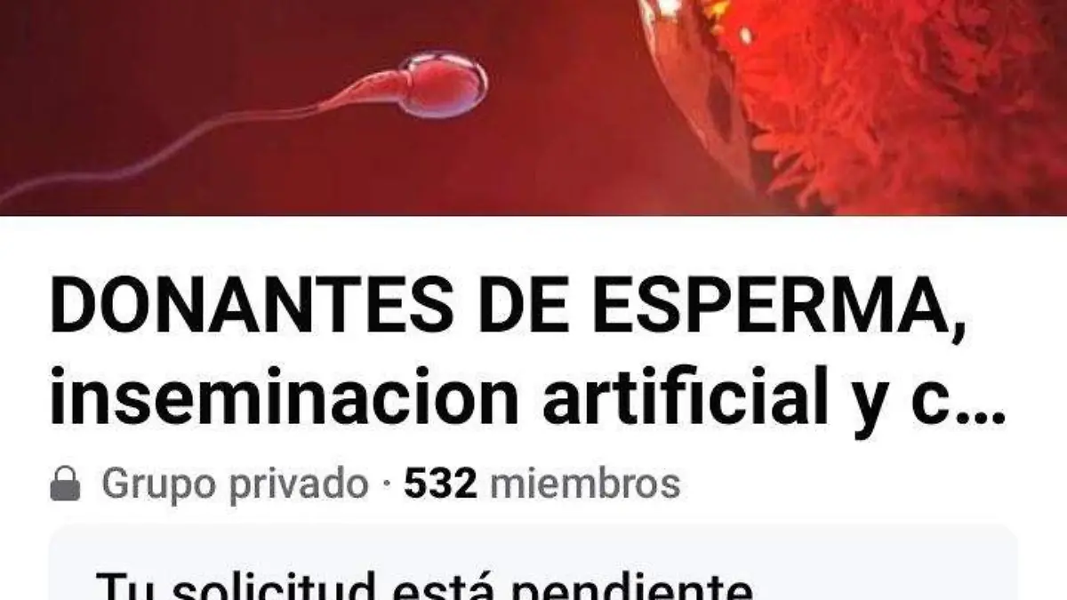 Se dice que en Facebook es posible encontrar de todo, la red ofrece una infinita posibilidad de hallar lo que más se anhela, este es el caso de personas que desean tener hijos