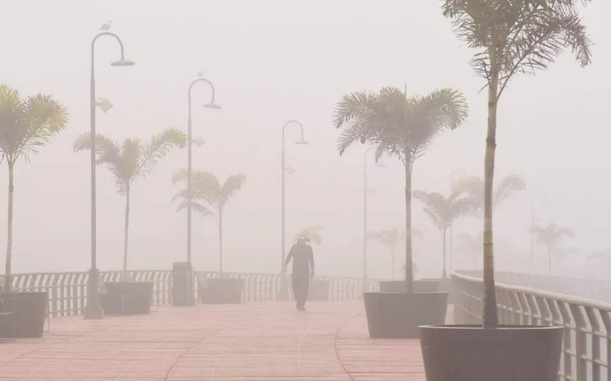 WhatsApp Image 2022-12-30 at 12.18.51 PM