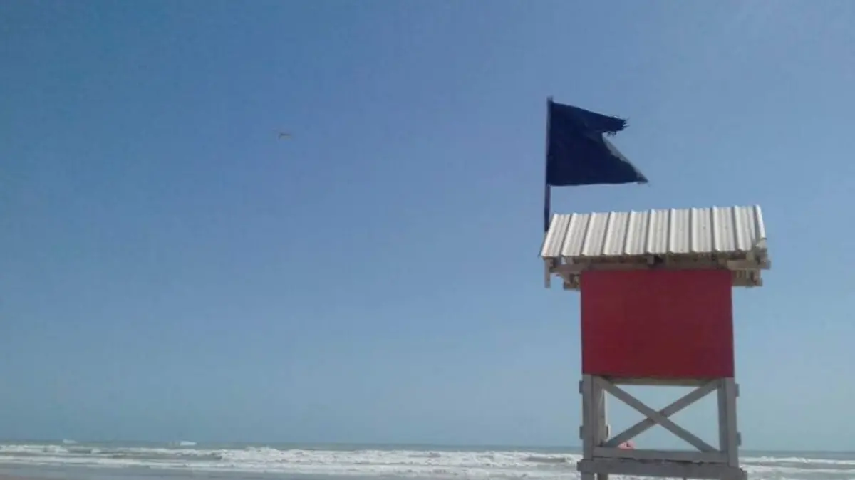 Captura de pantalla 2019-04-11 a las 5.46.27 p.m.