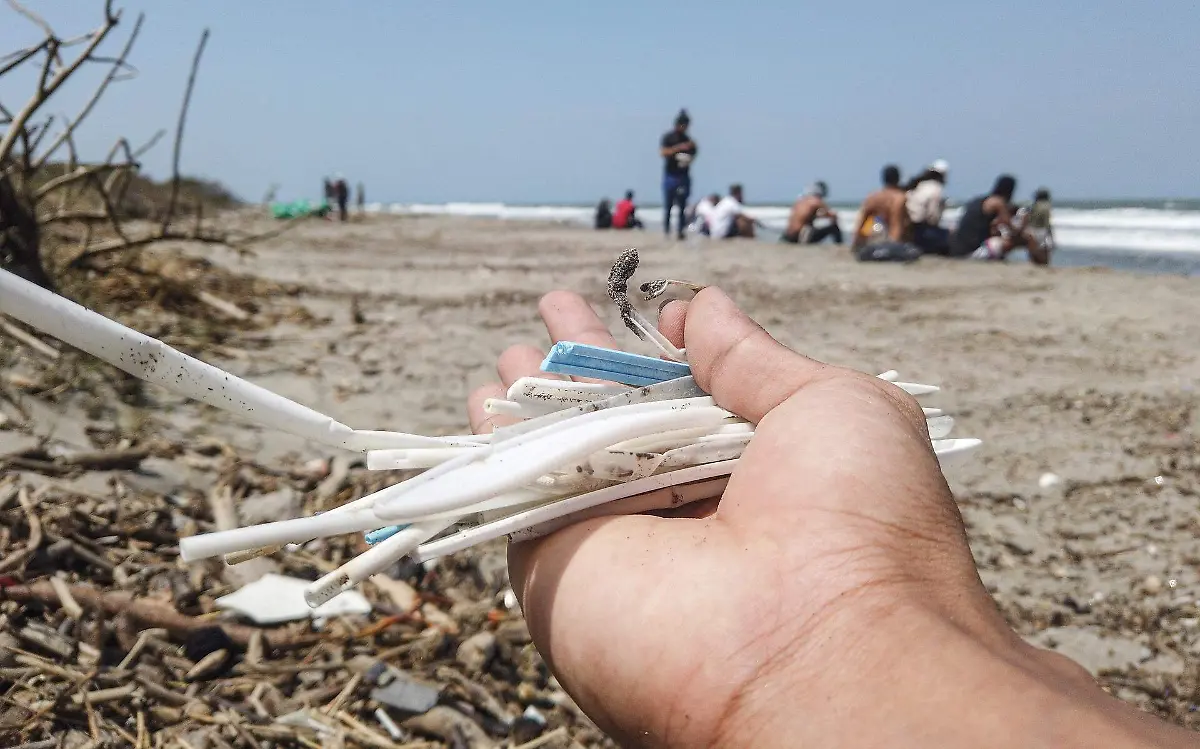 beach-cleaning-6074841_1920