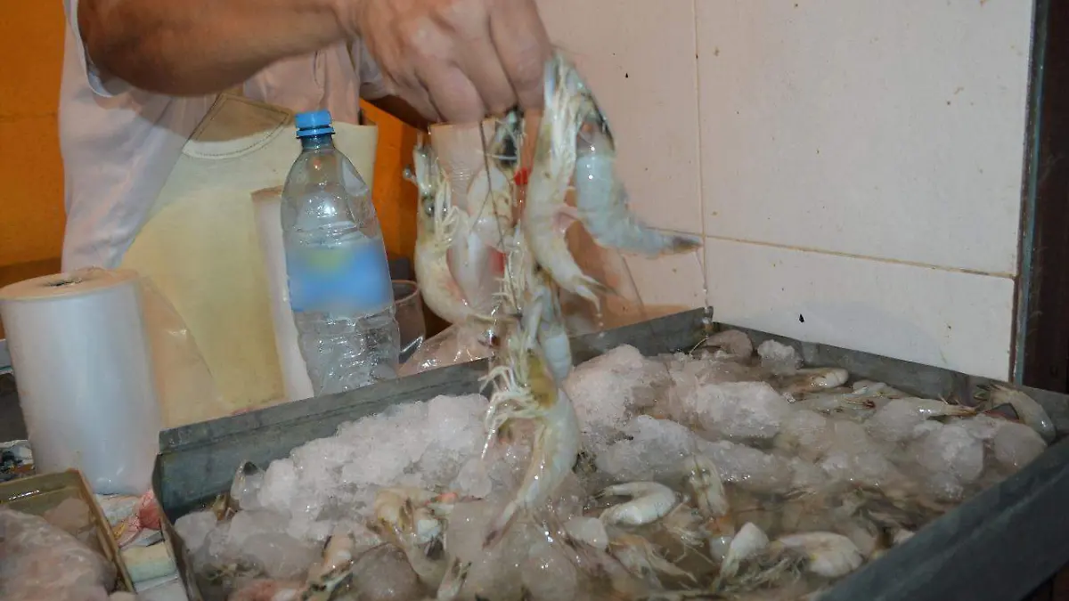 WhatsApp Image 2020-07-31 at 13.19.00