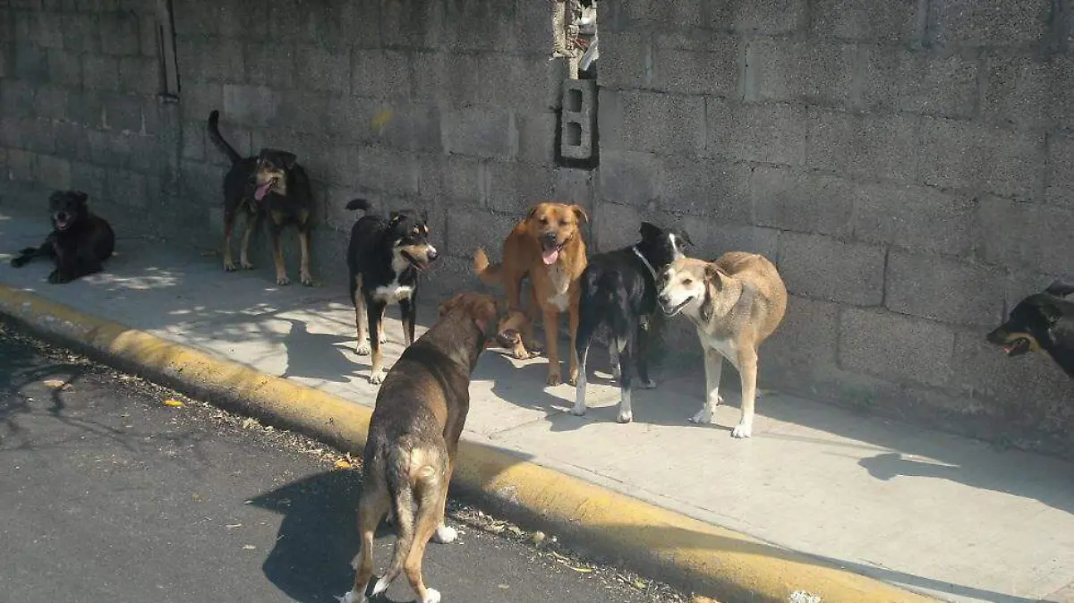 WhatsApp Image 2020-07-25 at 12.45.57 (1)