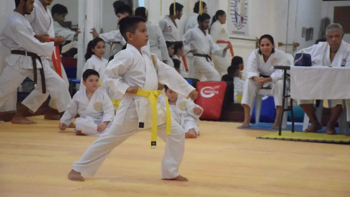 El karate tiene su origen en el siglo XVI, con las técnicas marciales de los nativos de Okinawa