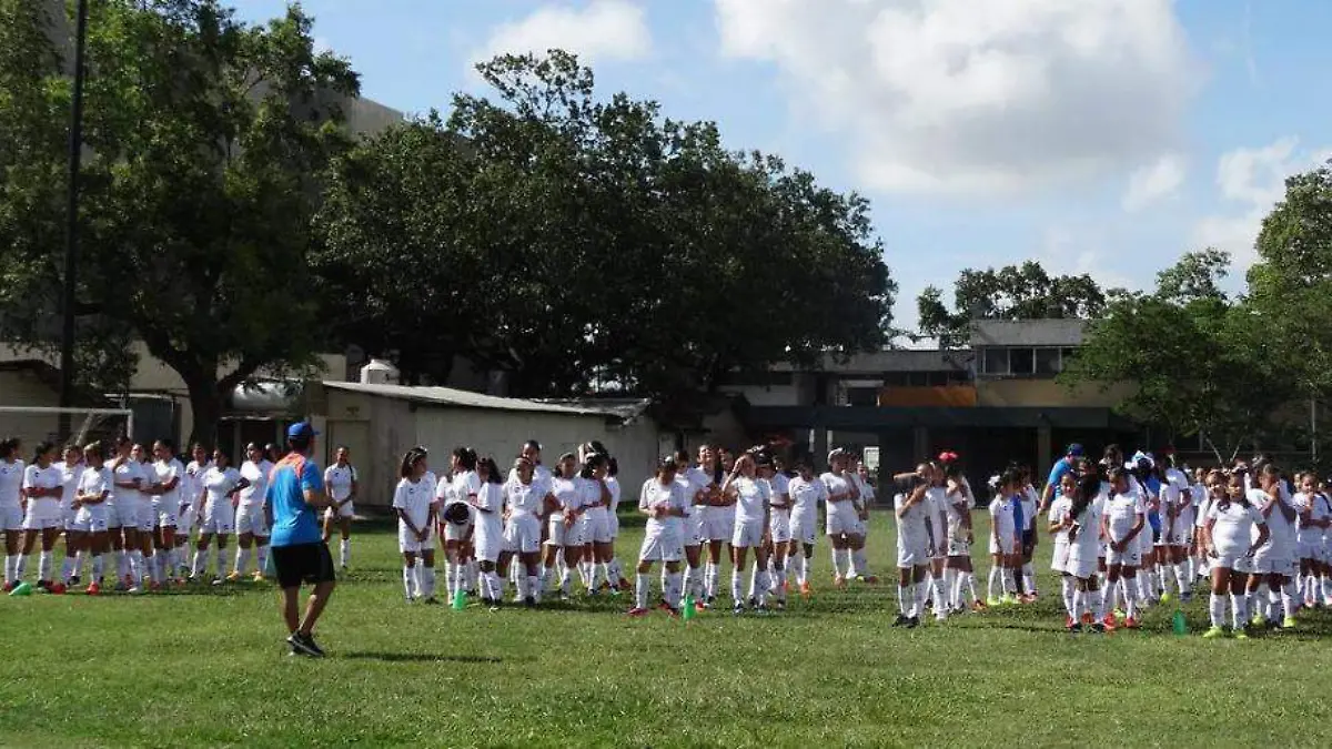 Image 2020-06-27 at 13.04.09 (1)