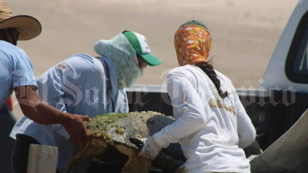 Autoridades federales vigilan que no existan redes en lugares prohibidos