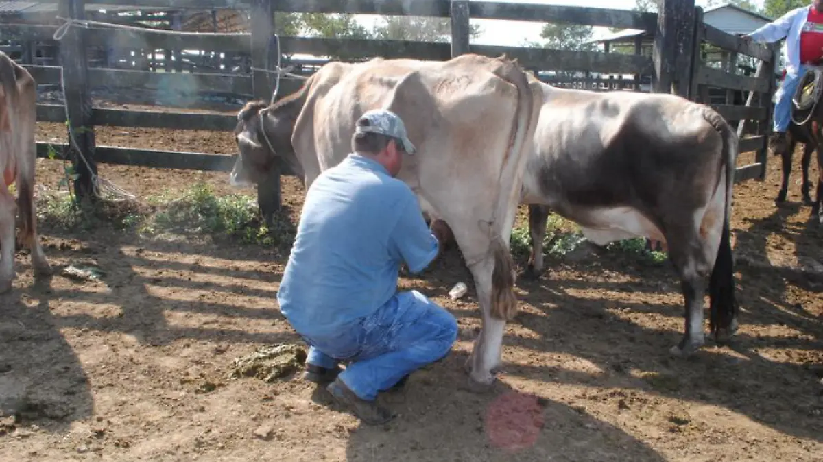 Captura de Pantalla 2019-12-08 a la(s) 9.46.47