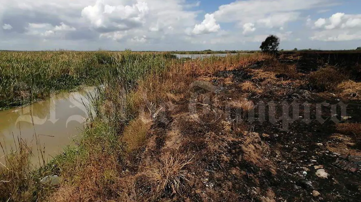 Durante la primera quincena de marzo el 83