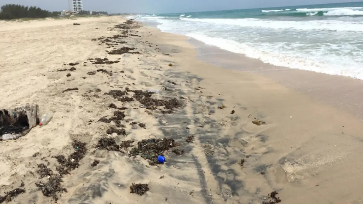 Captura de Pantalla 2019-05-17 a la(s) 15.03.51