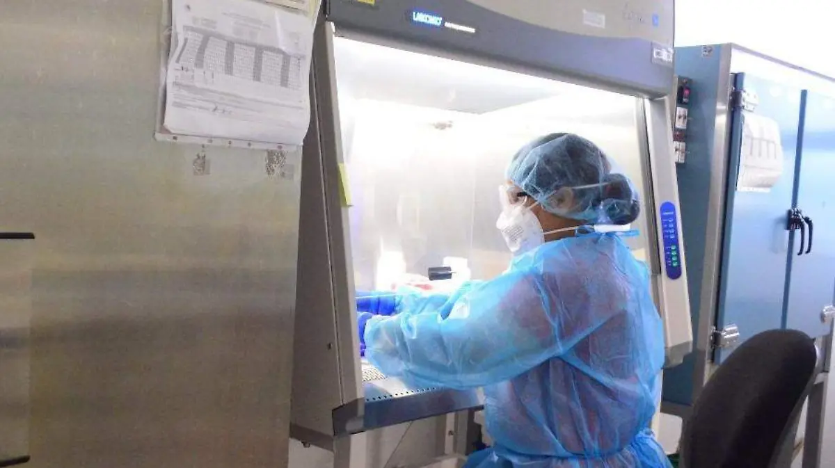 WhatsApp Image 2021-02-07 at 19.23.16