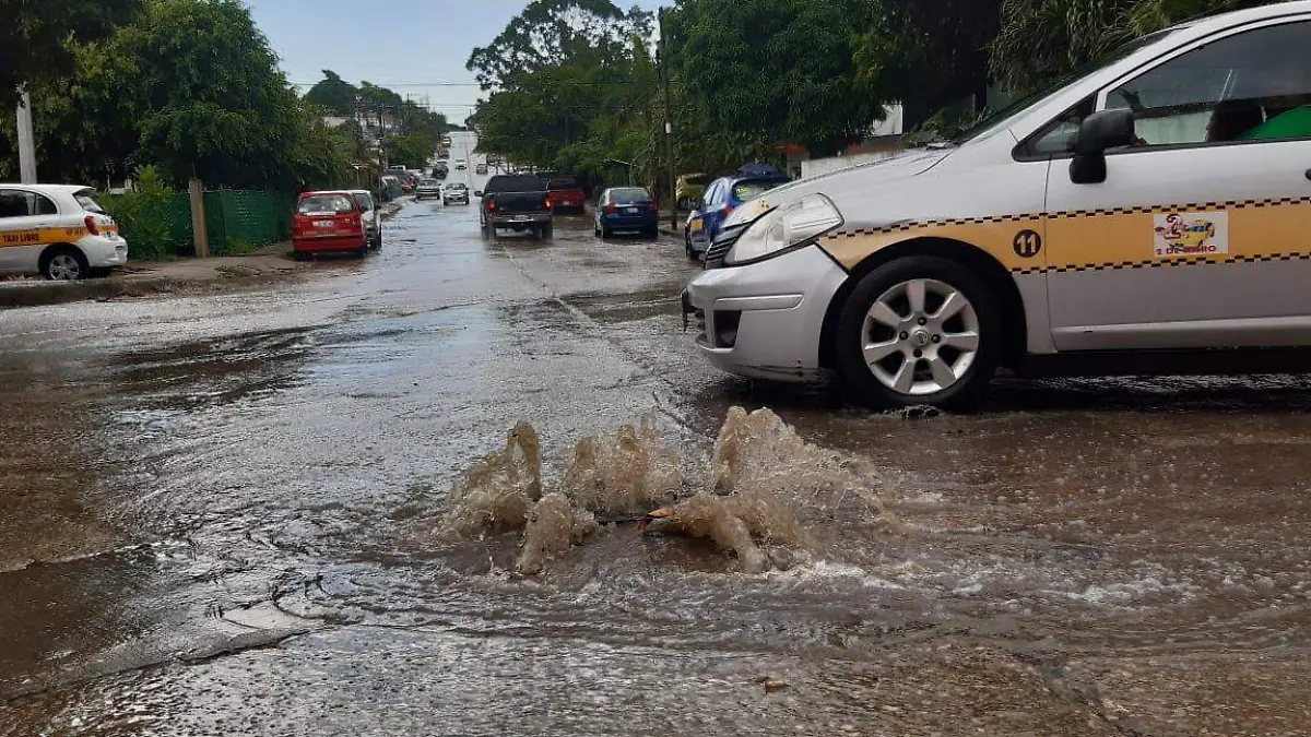 Image 2019-09-22 at 10.45.49 AM