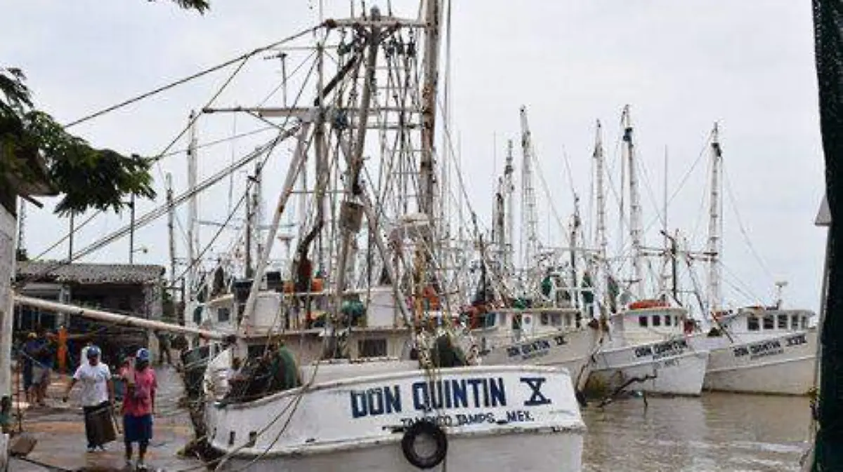 veaapartir-2-483x314