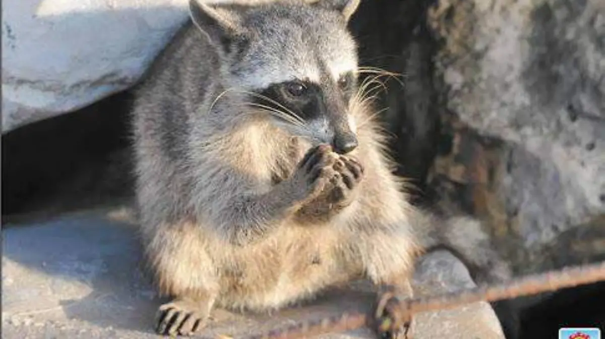 WhatsApp Image 2018-03-01 at 13.46.40